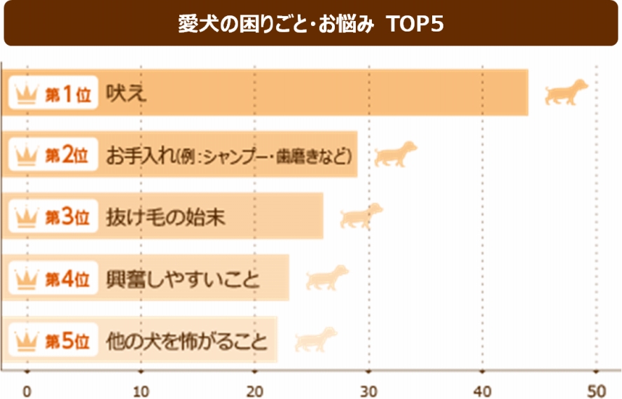 犬の鳴き声で分ける４つのしつけ方 夜鳴き 遠吠えを止めよう