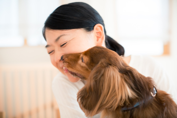 犬が飼い主さんを舐めるのはなぜ 舐め行動 の理由を探る アクサダイレクト