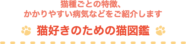 猫の保険をご検討の方 アクサダイレクトのペット保険